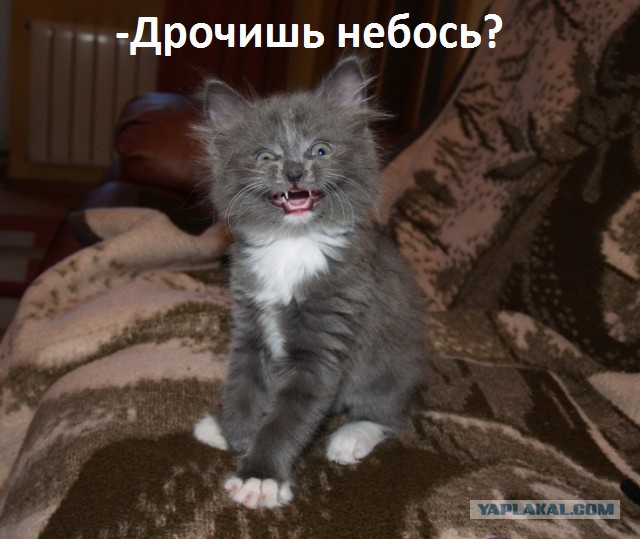 Пополнение