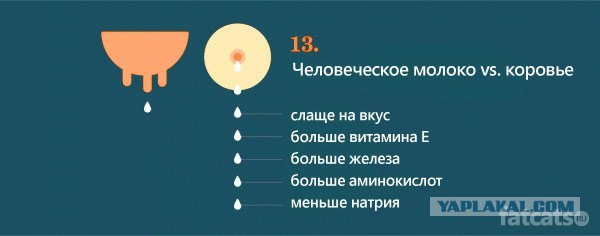 Очевидно, но факт