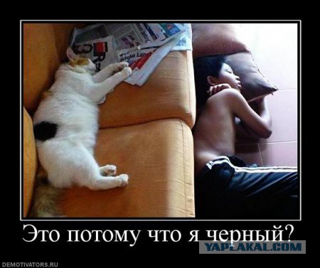 Немного позитива на пятницу