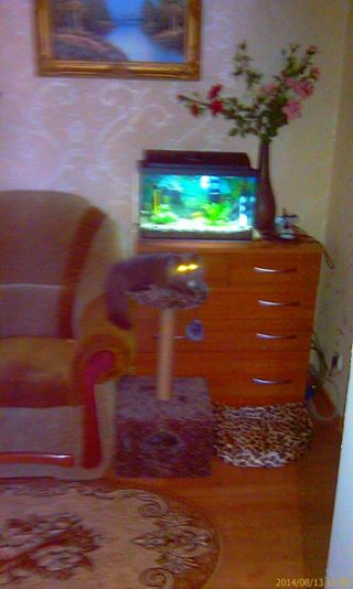 Котовторник 30.09.2014