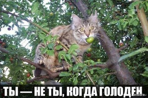 Очередная подборка коментов