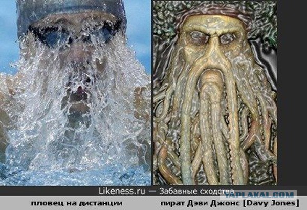 Двойники знаменитостей