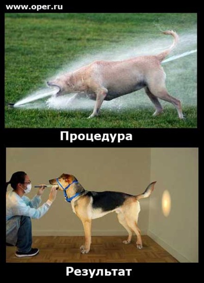 Моя подборка веселенькой мути