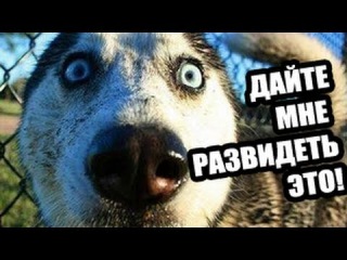 Опасность