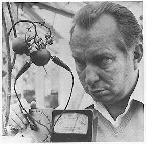 Разговор с цветком