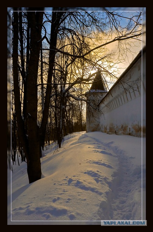 Фотограф от бога.