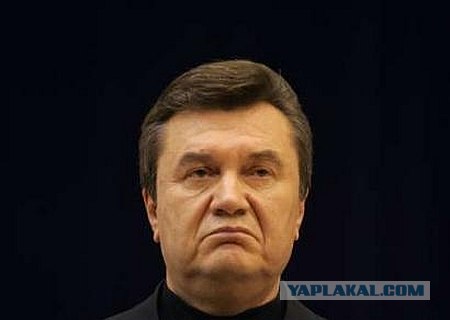 Янукович обзавелся самолетом из золота и мрамора