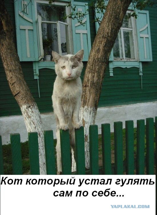 Гуляет сама по себе