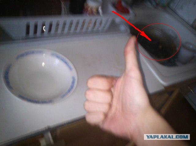 Холостяцкая жизнь