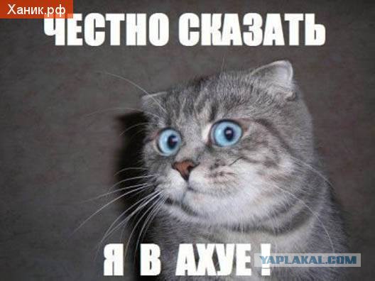 Какая звезда ближе к Земле?