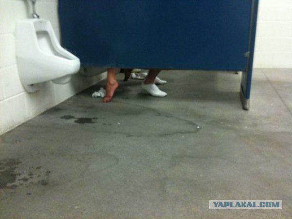 Прикольные картинки из сети
