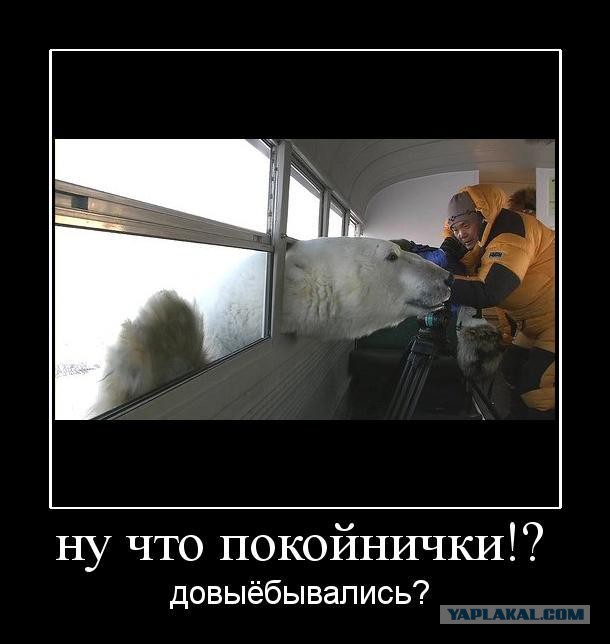 Картинки из сети