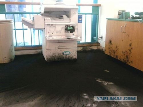 Офисные будни