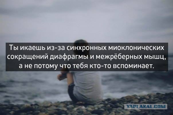 Прикольные фото и картинки