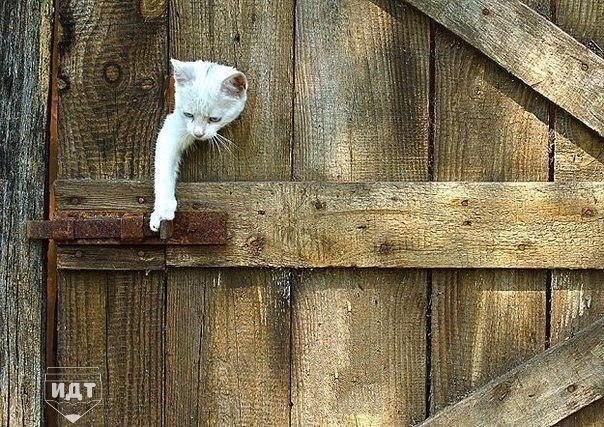 Картинки на вторник