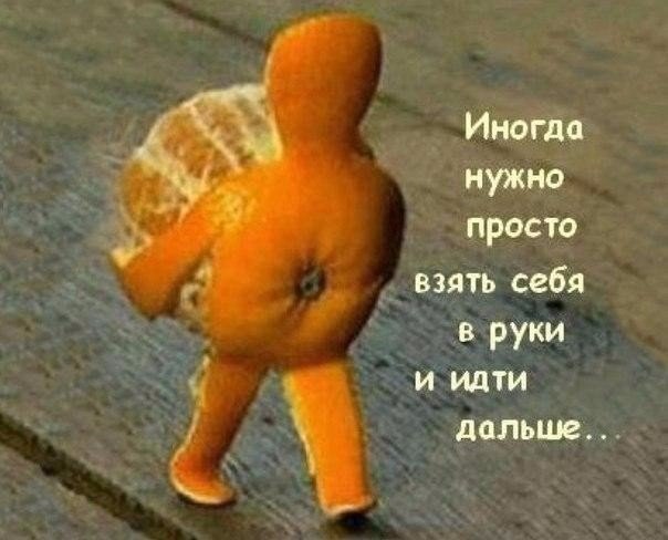Смешные картинки