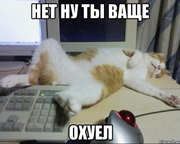 Top_lap обиделся на Яп