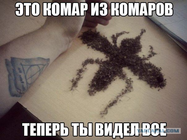 Подборка приколов на пятницу