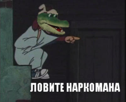 О чём думают грибы?