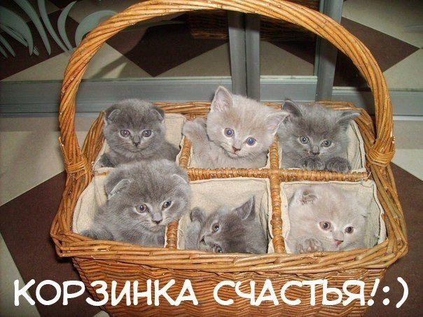 А давайте поговорим о жизни
