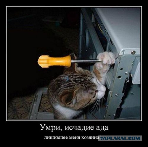 Картинки, надписи