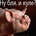ХРЮШКИ. Уголок Пятачка, кабаны, свиньи