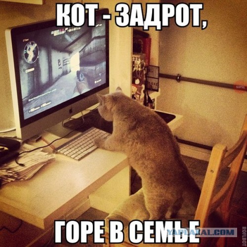 Веселые картинки