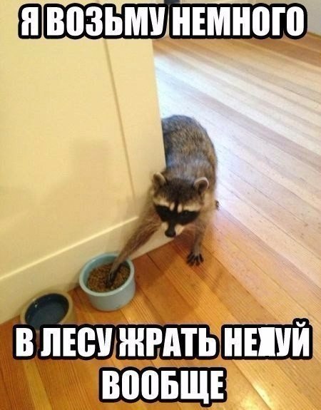 Веселые картинки