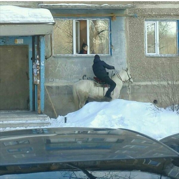 Свежая подборка прикольных картинок