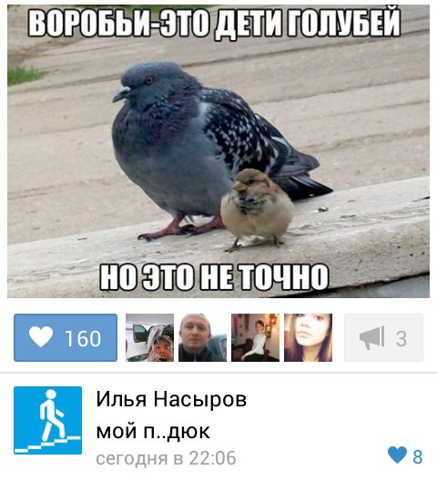 Ужасы и приколы из соцсетей 18+