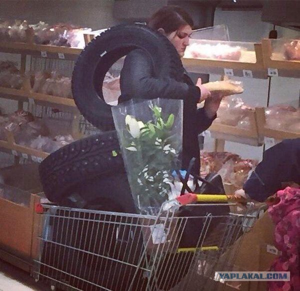 Подборка картинок 01.03.16