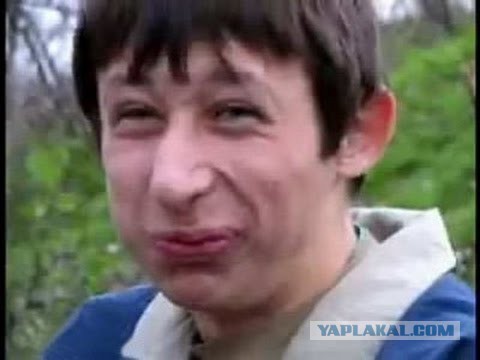 Германия смогла на 95% обеспечить себя энергией из возобновляемых источников