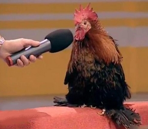 25 мая 2016: Обмен Надежды Савченко на Евгения Ерофеева и Александра Александрова