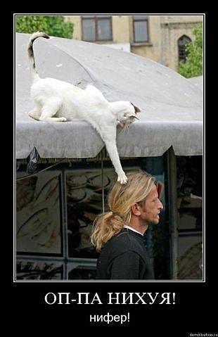 Абсурдный юмор