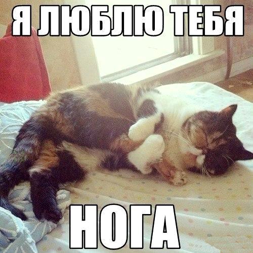 Картинки с надписями - отдохнуть от работы и проблем