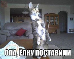 Вжууух! И снова пятница! Ура, товарищи!