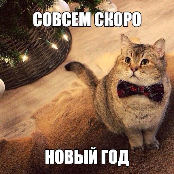 Подборка интересных и веселых фото
