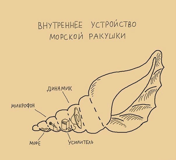 Забавные картинки вразнобой