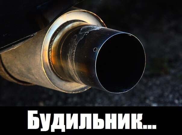 Подборка безудержного веселья