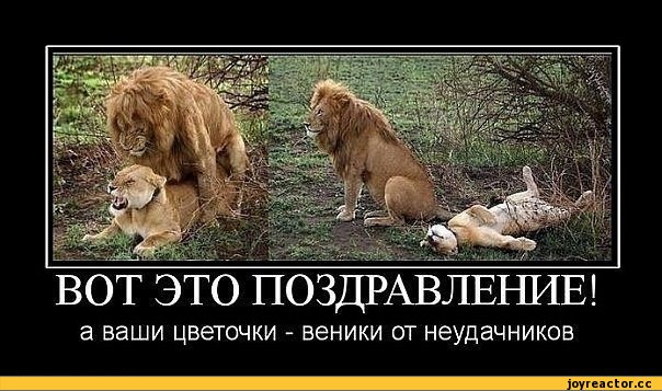 Сама дура или мужик жмот? Страдания к 8 марта.