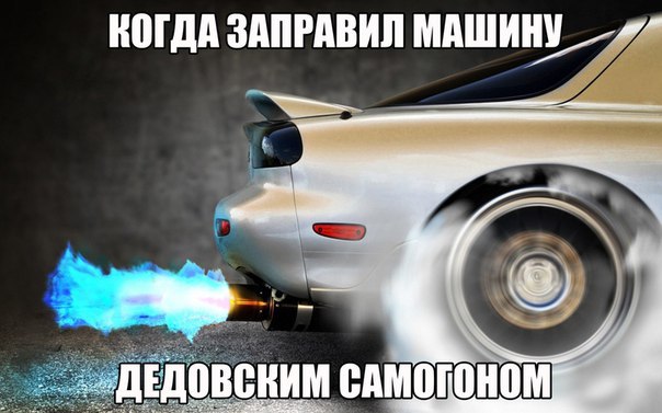 Подборка безудержного веселья