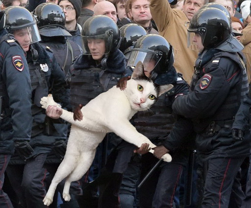 Фотожаба: хороший митинг и обращение вежливое