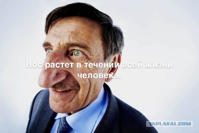 35 занимательных фактов