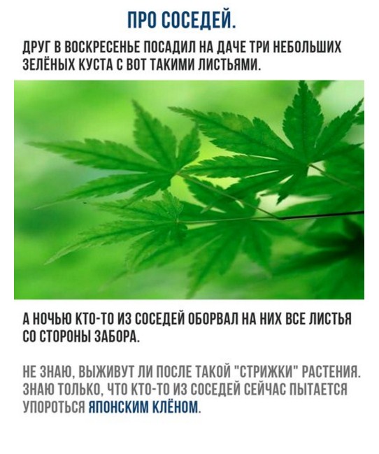 Подборка интересных и веселых картинок