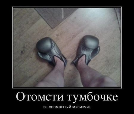 100 картинок для поднятия настроения!