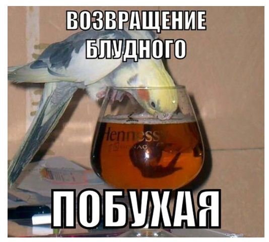 Немного веселых картинок к пятнице. С легкой деградацией