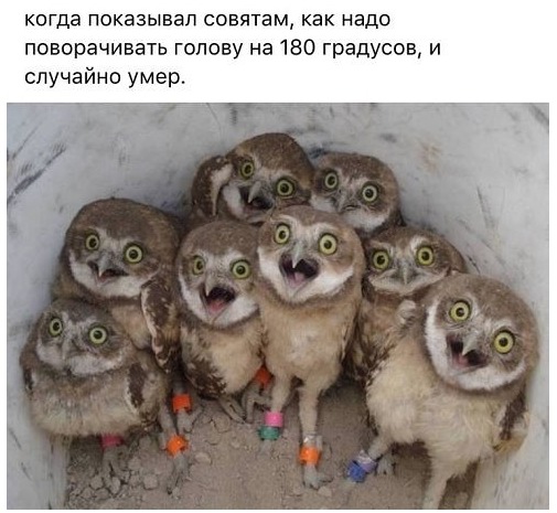 Праздник длиною в жизнь