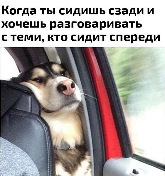 Немного веселых картинок из этих наших интернетов