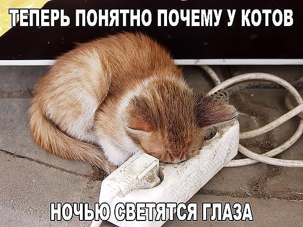 Ну что, работу работаем? А кто картинки кто смотреть будет!?