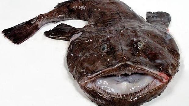 Настоящая Испания изнутри: как готовят паэлью из морепродуктов сами испанцы